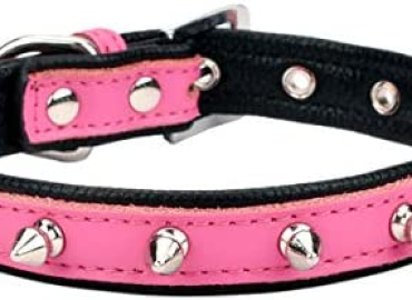 Aolove Spiked Studded Padded Leather Pet Collars for Cats Puppy Small Medium Large Dogs