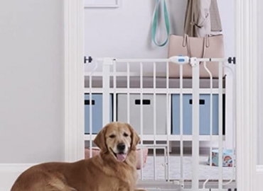 Carlson Extra Wide Walk Through Pet Gate with Small Pet Door, Includes 4-Inch Extension Kit, Pressure Mount Kit and Wall Mount Kit