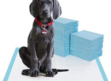 BESTLE Large Pet Training and Puppy Pads Pee Pad for Dogs 24″x24″-80 Count Super Absorbent & Leak-Proof
