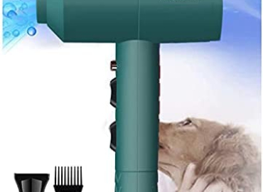 IONE Dog Cat Hair Dryer,Professinal Double Force Grooming Blower Dryer for Medium/Small Pets,IEC & UL Certificated (Deep Green)
