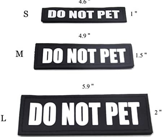 41lv8jb3T0L._AC_.jpg