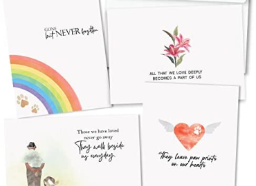 Hat Acrobat Pet Sympathy Card – Set of 24 Cats, Beloved Pets and Dog Sympathy Card with a Short Message and Spare to Send out Your Personal Condolences – Loss of Pet Sympathy Card Set with Envelopes
