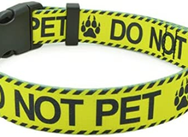 DWOOFG Collar for Dog, Letter Service Dog DO NOT PET Emotional Support in Training Mama SAYS I’m Special，Sturdy Durable with Buckle, Dog Collars for Medium Large Dogs