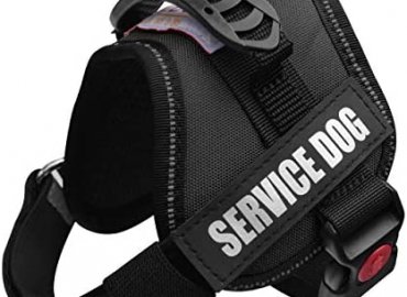 ALBCORP Service Dog Vest Harness – Reflective – Woven Polyester & Nylon, Comfy Mesh Padding, RED / Black