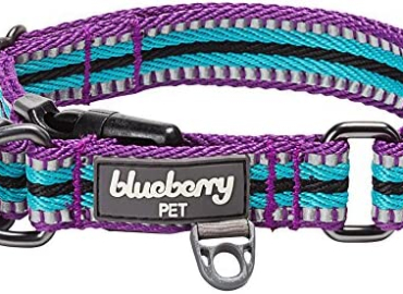Blueberry Pet 10+ Colors 3M Reflective Multi-Colored Stripe Adjustable Dog Collar, Violet and River Blue, Small, Neck 12″-16″