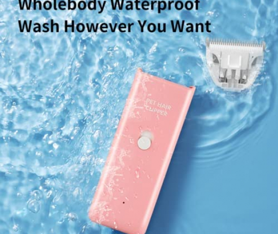 51192Q9TlHL._AC_.jpg
