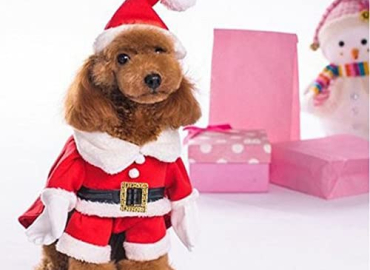 NACOCO Pet Christmas Costumes Dog Suit with Cap Santa Claus Suit Dog Hoodies Cat Xmas Costumes (Red, M)