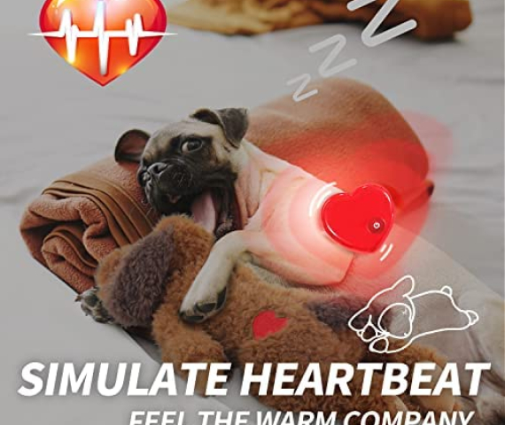 51BHF4lkP9L._AC_.jpg