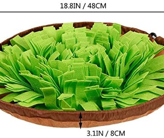 51D7KBkORmL._AC_.jpg