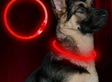 BSEEN LED Dog Collar, USB Rechargeable, Glowing Pet Dog Collar for Night Safety, Fashion Light up Collar for Small Medium Large dogs