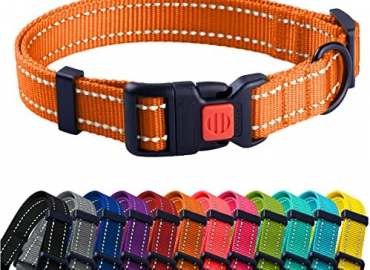 CollarDirect Reflective Dog Collar for a Small, Medium, Large Dog or Puppy with a Quick Release Buckle – Boy and Girl – 48 Options Nylon Suitable for Swimming
