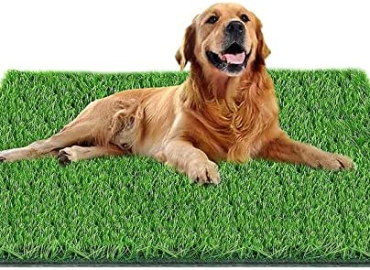 Fortune-star Artificial Grass for Dog, Dog Grass Suitable for Indoor/Outdoor Dog Potty Training, Fake Grass Pad for Dog are Easy to Use and Clean, Dog Turf Grass Reusable