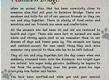 BeLifer Pet Sympathy Memorial Card – Rainbow Bridge Poem Card for a Pet Loss Dog Memorial Keepsake Gifts Card with Envelope Pet Remembrance Mourning Card