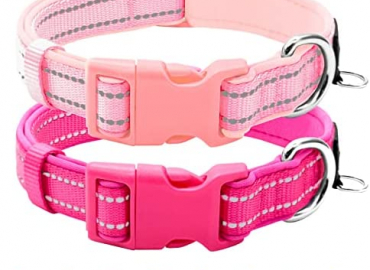 azuza 2 Pack Reflective Soft Neoprene Padded Dog Collars, Adjustable Pet Collar with ID Tag Ring, Safe and Comfy for Small Medium and Large Dogs