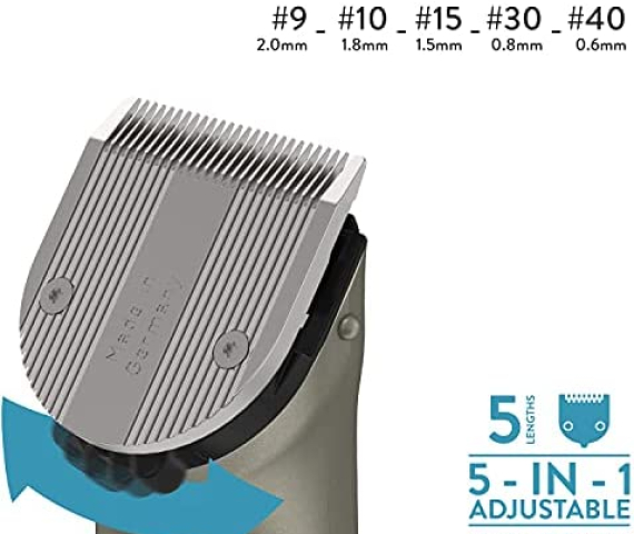 51LPsqf2iBS._AC_.jpg