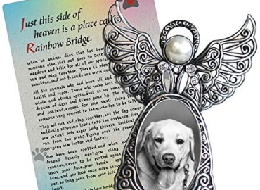 Angel Wings Pet Memorial Gift – Remembrance Picture Frame for Pet Loss in Memory of Your Beloved Dog with Rainbow Bridge Card Dog Sympathy Gift