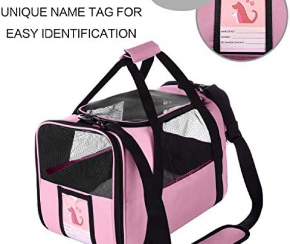 51WCbXRLYL._AC_.jpg