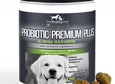 PetVitalityPRO Probiotics for Dogs with Natural Digestive Enzymes ● 4 Bill CFUs/2 Soft Chews ● Dog Diarrhea Upset Stomach Yeast Gas Bad Breath Immunity Allergies Skin Itching Hot Spots