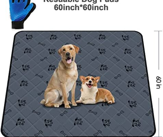 51biHpwSiZL._AC_.jpg