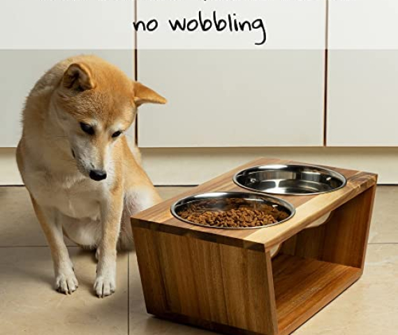 51cQprYT1zL._AC_.jpg