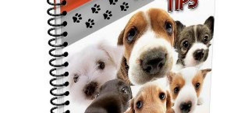100 Dog Training
