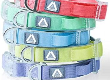 JC HOUSE Dog Collar, Lightweight Soft Padded Classic Pet Collar with Reflective Logo LED Holder & Quick Release Buckles, Small Medium Dog Collar for Daily Use