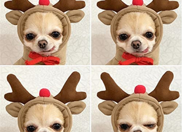 Dog Hoodie- Dog Basic Sweater Coat Cute Frog Shape Warm Jacket Pet Cold Weather Clothes Outfit Outerwear for Cats Puppy Small Largr Dogs