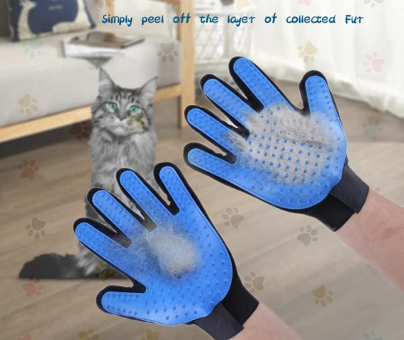 51zkAuthL4L.jpg