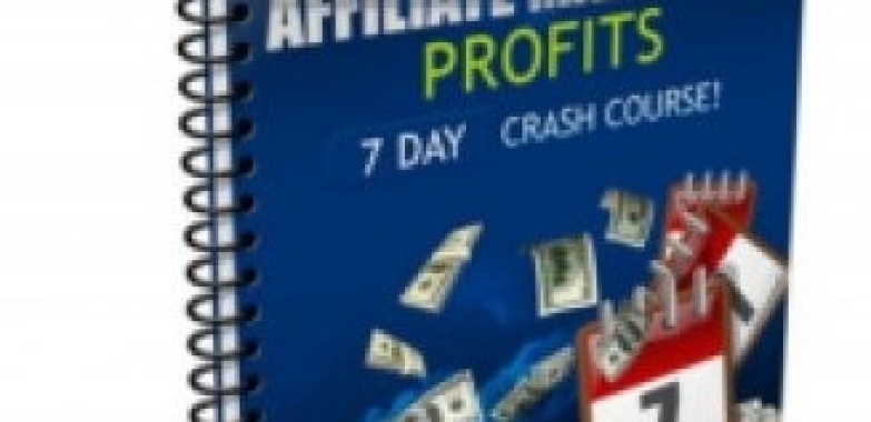 Affiliate Marketing Profits Unleashed