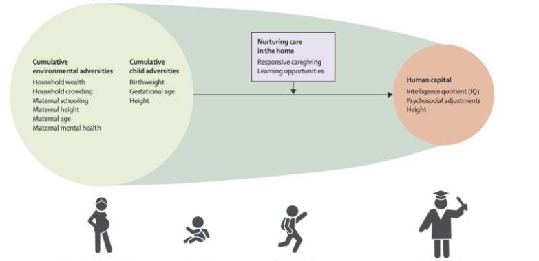 Low-income preschoolers uncovered to nurturing care have with larger IQ scores afterward