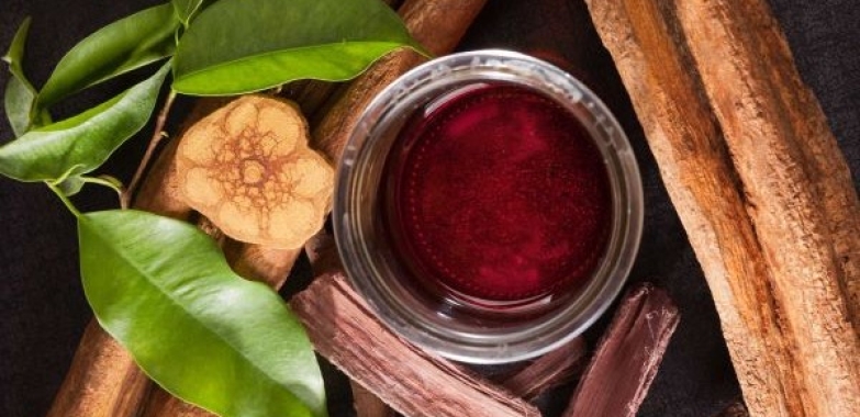 AYAHUASCA RETREATS AUSTRALIA