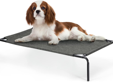 Elevated Dog Bed Cooling Dog Cot Indoor Outdoor Waterproof Dog Cat Bed Portable Pet Cot for Small Medium Dogs Cats
