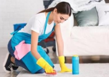 Professional Mould Removal Hobart