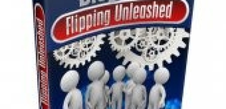 Blog Flipping Unleashed