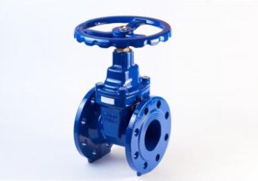 Purchase top quality gate valves at affordable price (Mumbai, Maharashtra, India, India, Other Countries)