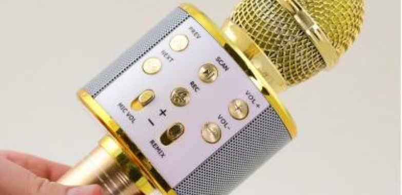 Wireless Karaoke Microphone (lexington, Kentucky, USA)