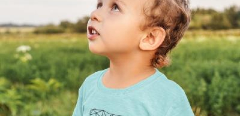 Toddler Triblend Dinosaur Print Shirt (northwest CT, Connecticut, USA)