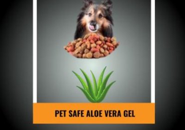 Completely Effective Pet Safe Aloe Vera Gel (2601 Zinnia Ave, McAllen, TX 78504, Texas, USA)