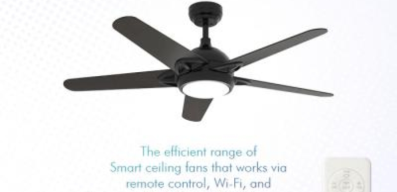 Explore the Efficient Range of Smart Ceiling Fans (Louisville, Kentucky, USA)