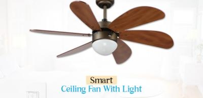 Find Inspiration Within a Rich Collection of Smart Ceiling Fan With Light (Louisville, Kentucky, USA)