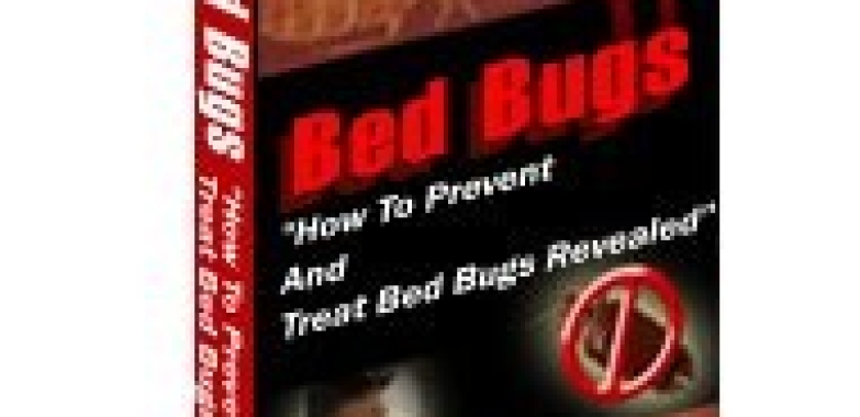 Bed Bugs 2022