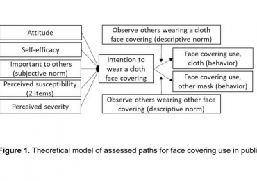 Researcher examines why individuals select to put on face coverings