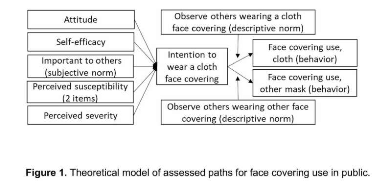 Researcher examines why individuals select to put on face coverings