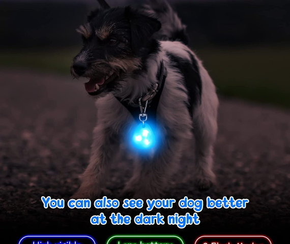 71Q9xfJcnVL._AC_SL1500_.jpg