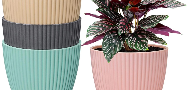 BUY FLOWER POT ON AMAZON (ONLINE)