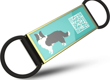 DISONTAG Dog Tags, Dog Tags Personalized for Pets, Custom Dog Tags, Dog Name Tags, Free Online Pet Page Prevent Lost/Modifiable