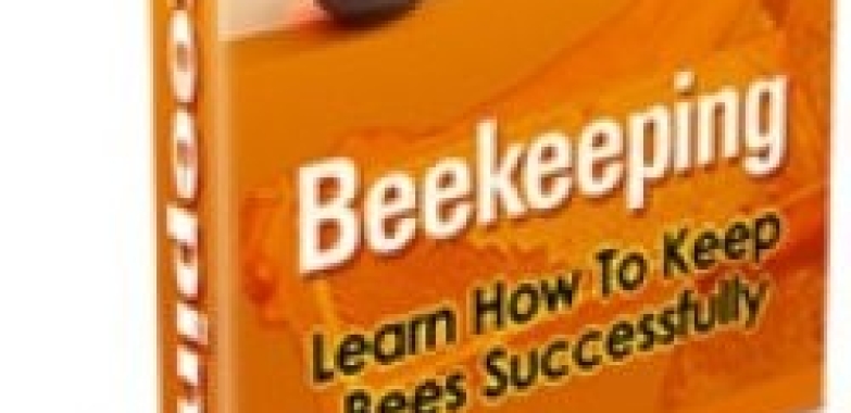 Beekeeping