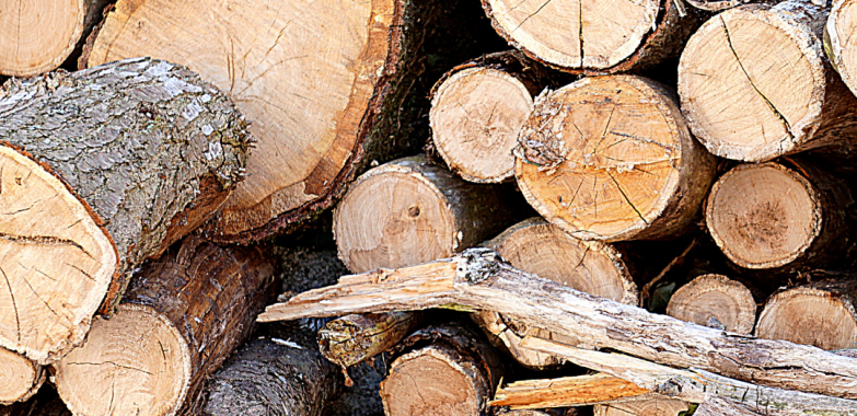 Modern wood and pellet heat are a vital complement