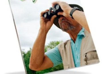 Birdwatching For Beginners