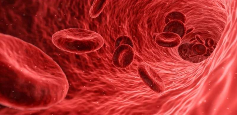 Racially biased oxygen readings may very well be placing sufferers in danger